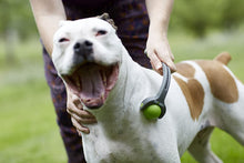 Load image into Gallery viewer, PetWell Dual Point Handheld Massage Roller Pets (Dogs, Cats)