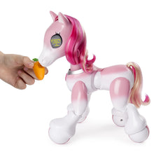 Load image into Gallery viewer, Zoomer - Show Pony Lights