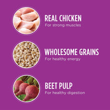 Load image into Gallery viewer, IAMS Senior Dry Dog Food, Chicken, All Breed Sizes