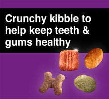 Load image into Gallery viewer, Cesar Small Breed Dry Dog Food