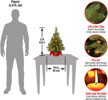 Load image into Gallery viewer, National Tree Company