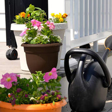 Load image into Gallery viewer, Bloem 20-56312CH Fiskars 12 Inch Ariana Planter with Self-Watering Grid, Chocolate, 12&quot;, Browns