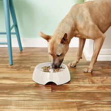 Load image into Gallery viewer, Dogit Go Slow Anti-Gulping Dog Dish, Slow Feeding Dog Bowl Suitable for Wet or Dry Food