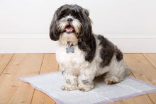 Load image into Gallery viewer, Hartz Home Protection Unscented Odor Eliminating Gel Dog Pads, 21&quot; x 21&quot;, 100 Count