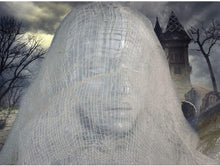 Load image into Gallery viewer, Haunted Hill Farm HHCAGE-1H Life-Size Cage, Color 1