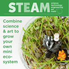 Load image into Gallery viewer, Creativity for Kids Terrarium Kit