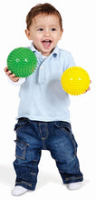 Load image into Gallery viewer, Edushape Sensory Balls, 4 Inch, Solid Colors, 4 Ball Set