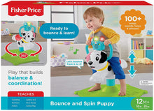 Load image into Gallery viewer, Fisher-Price Bounce and Spin Puppy