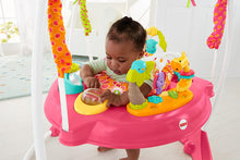 Load image into Gallery viewer, Fisher-Price Jumperoo