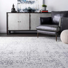 Load image into Gallery viewer, nuLOOM Arlena Vintage Area Rug