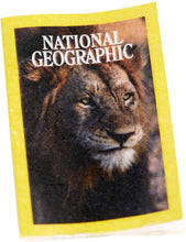Load image into Gallery viewer, Barbie Photojournalist Doll, Brunette with Lion Cub, Camera and Magazine Cover, Inspired by National Geographic