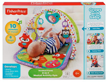 Load image into Gallery viewer, Fisher Price 3-in-1 Musical Activity Gym