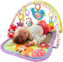 Load image into Gallery viewer, Fisher Price 3-in-1 Musical Activity Gym