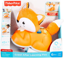 Load image into Gallery viewer, Fisher-Price Crawl After Learning Fox