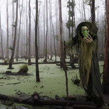 Load image into Gallery viewer, Haunted Hill Farm HHSKEL-2FLS Life-Size Animated Talking Skeleton Prop w/Moving Mouth, Battery-Operated Indoor/Outdoor Halloween Decoration, Color 1