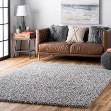 Load image into Gallery viewer, nuLOOM Cozy Soft &amp; Fluffy Solid Shag Area Rug, 4' x 6', Silver