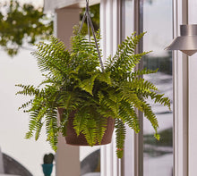 Load image into Gallery viewer, Bloem (CLNHB12-54 Colonnade Wood Resin Hanging Basket 12&quot; Forest Green