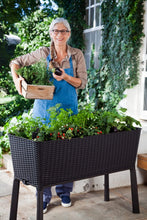 Load image into Gallery viewer, Keter Easy Grow 31.7 Gallon Raised Garden Bed with Self Watering Planter Box and Drainage Plug