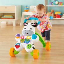 Load image into Gallery viewer, Fisher-Price Learn with Me Zebra Walker