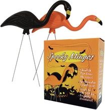 Load image into Gallery viewer, Bloem Spooky Flamingo Halloween Outdoor
