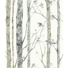 Load image into Gallery viewer, RoomMates Birch Trees Peel and Stick Wallpaper