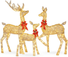 Load image into Gallery viewer, Best Choice Products 3-Piece Lighted Christmas Deer Family Set Outdoor Yard Decoration with 360 LED Lights, Stakes, Zip Ties