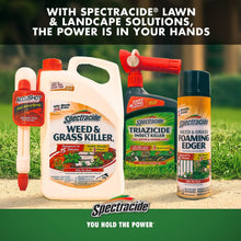 Load image into Gallery viewer, Spectracide Weed Stop For Lawns For St. Augustine &amp; Centipede Lawns Concentrate, Ready-to-Spray, 32-Ounce