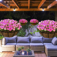 Load image into Gallery viewer, Sorbus 4 Pack Metal Hanging Planter Basket Huge 14 Inch Hanging Flower Pot Basket &amp; Coco Coir Liner for Indoor/Outdoor Garden Décor, Perfect for Home, Garden, Patio, Deck