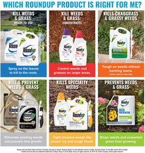 Load image into Gallery viewer, Roundup 5107300 Extended Control Weed and Grass Killer Plus Weed Preventer II Ready-to-Use Trigger Spray, 24-Ounce