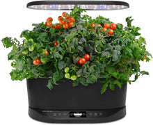 Load image into Gallery viewer, AeroGarden Bounty Basic Indoor Hydroponic Herb Garden,
