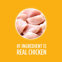 Load image into Gallery viewer, Iams Proactive Health Puppy Dry Dog Food, Chicken, All Breed Sizes