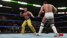 Load image into Gallery viewer, WWE 2K19