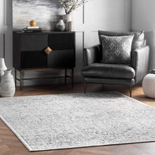 Load image into Gallery viewer, nuLOOM Minta Vintage Area Rug