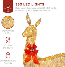 Load image into Gallery viewer, Best Choice Products 3-Piece Lighted Christmas Deer Family Set Outdoor Yard Decoration with 360 LED Lights, Stakes, Zip Ties