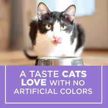 Load image into Gallery viewer, Purina Cat Chow Gentle Sensitive Stomach Adult Dry Cat Food