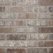 Load image into Gallery viewer, Single Thin Bricks - Flats for Brickwebb (Box of 50) - Rushmore
