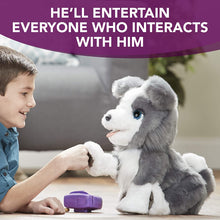 Load image into Gallery viewer, FurReal Friends Ricky, the Trick-Lovin’ Interactive Plush Pet Toy, 100+ Sound-and-Motion Combinations, Ages 4 and Up