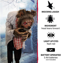Load image into Gallery viewer, Haunted Hill Farm HHWOLF-1FLSA Life-Size Animatronic Werewolf, Indoor/Outdoor Halloween Decoration, Multi