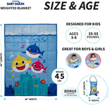 Load image into Gallery viewer, Franco Weighted Blanket with Bonus Door Knob Pillow