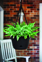 Load image into Gallery viewer, Bloem Lucca Self Watering Hanging Basket Planter