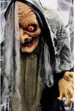 Load image into Gallery viewer, Haunted Hill Farm HHWITCH-13FLSA Life Size Animatronic Witch, Indoor/Outdoor Halloween Decoration, Multi