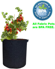 Load image into Gallery viewer, Viagrow Fabric Pots with Handles