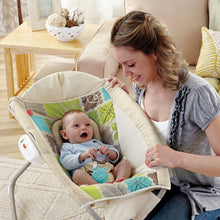 Load image into Gallery viewer, Fisher-Price Newborn Rock &#39;n Play Sleeper