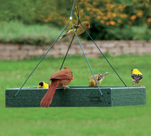 Load image into Gallery viewer, Woodlink Going Green Platform Bird Feeder Model GGPLAT