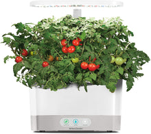 Load image into Gallery viewer, AeroGarden White Harvest Indoor Hydroponic Garden