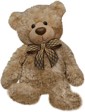 Load image into Gallery viewer, First &amp; Main 7&quot; Regis Teddy Bear, Multicolor 1894
