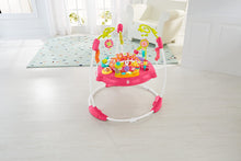 Load image into Gallery viewer, Fisher-Price Jumperoo