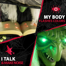 Load image into Gallery viewer, Haunted Hill Farm HHWITCH-9FLS Life-Size Animatronic Witch, Indoor/Outdoor Halloween Decoration, Multi