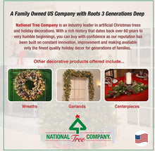 Load image into Gallery viewer, National Tree Company Artificial Christmas Tree| Includes Stand | Dunhill Fir - 4.5 ft
