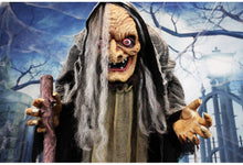 Load image into Gallery viewer, Haunted Hill Farm HHWITCH-13FLSA Life Size Animatronic Witch, Indoor/Outdoor Halloween Decoration, Multi